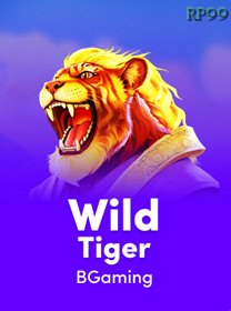 Wild Tiger game cover